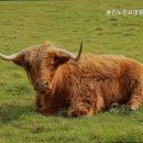 연꽃마을 노인요양원 이미지