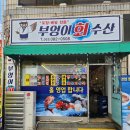 대구 경북대 맛집 산격동 횟집 부엉이회수산