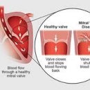 포천동물병원 이미지