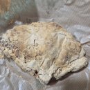 트래블 콘서트 노르웨이 베르겐으로 가는 길 | 11월 월간 기록