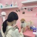 사랑옵개 이미지