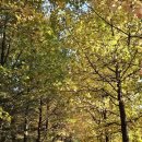 부모님과 진주 여행, 경상남도 수목원 🌳