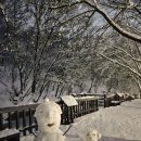 ♧이종구교수의 에세이 산책/ 함박눈 내리는 어느 겨울날의 동화 이미지