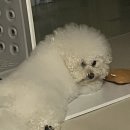 지에스25 창룡대로점 | 여름은 나태의 계절