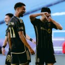 선수수산 | 평택 송탄 횟집 : 갈릴리수산 내돈내산 대방어 매운탕 후기