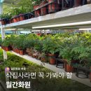 일산화원 월간화원 플랜테리어용 화분 구매 후기