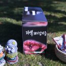 제주건강즙
