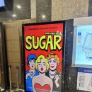 한전아트센터 | 뮤지컬 '슈가' 엄기준 솔라 / 한전아트센터 1층 F열 후기