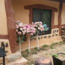 놀부네펜션 이미지