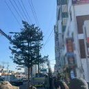 바보주유소 | [계산역/계양구] 두바이 쫀득 쿠키 맛집, 인천 팔레트 디저트, 오픈런 웨이팅 후기