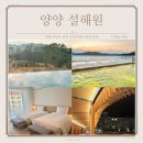 강원도 리조트 양양 설해원 온천수영장에서 여유 만끽 ft.스튜디오 객실
