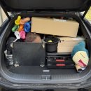 동경키즈태권도 도장 | 경기도 하남시 키즈태권도 마술공연 진행 후기!