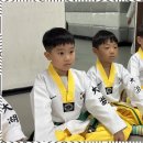 참태권도체육관 네이버블로그