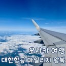 시각에 대한 비빌 | 오사카 대한항공 마일리지 왕복 KE2117 KE2120 이용 후기