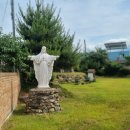 칠성로2길-4 이미지