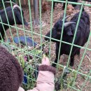 청도강변돌고래펜션 이미지