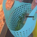 씨유 익산금마서동점 | [익산/공주 1박 2일 여행] 1일차 #익산편