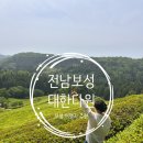 전남보성여행 추천 *대한다원* 솔직후기