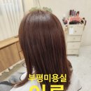 미용실(미용실) | 부평 미용실이룸 (부평역미용실 전체염색 후기)
