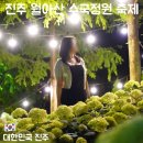2026 진주 월아산 수국 정원 축제 후기｜밤에도 아름다운 진주 수국 명소, 월아산 정원속의진주
