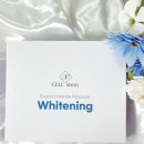 더플랜업 | 셀린스템 엑소좀앰플 스킨부스터로 톤업 홈케어 후기