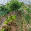 상근농장 이미지