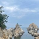 [travel] 강원도 삼척 국내여행 | 장호항 어촌체험마을 맛집 레반토 내돈내산