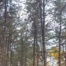 서후보건진료소 이미지