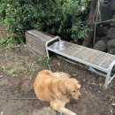 미영이네 민박 이미지