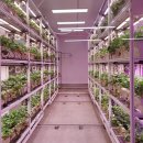 미래농장2 이미지