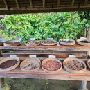 세풍농장 이미지