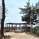 [도보] 해파랑길 6코스(울산구간)