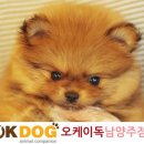 남양진접5 이미지