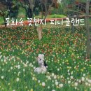아산 피나클랜드 수목원 튤립수선화축제 평일 &amp; 주차, 입장료, 애견, 코스