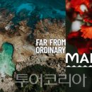 종로-종로-종로-종-364 이미지