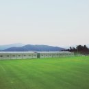 복숭아 펜션 이미지