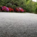 산여울캠핑장 이미지