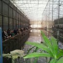 월문낚시터 이미지