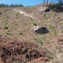 큰산농장 이미지