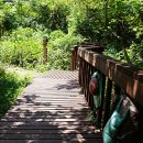 람사르습지길 이미지