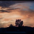 강릉목장 이미지