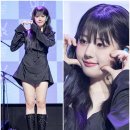 더블유게러지