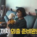 뷰티 앤 독 이미지