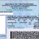 다바오에서 필리핀 운전면허증 갱신하기 이미지