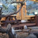 영불로2-2(동) | 엄마랑 경주여행 가볼만한 곳 _맛집리스트부터 필수관광지까지