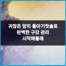 구월백세플란트치과의원 이미지