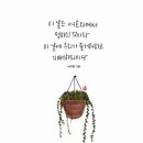 캘리 이미지