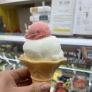젤라떼리아단;사이