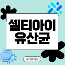 꽃바위약국 이미지