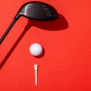 휴먼 스크린골프 이미지